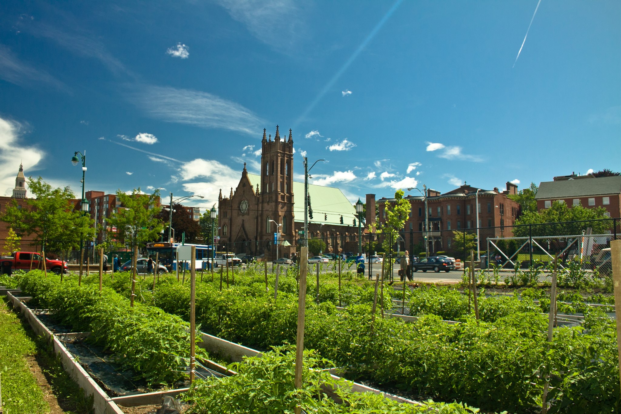 Grow Hartford Urban Farm « Hartford Food System
